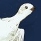 Grandmother Ptarmigan