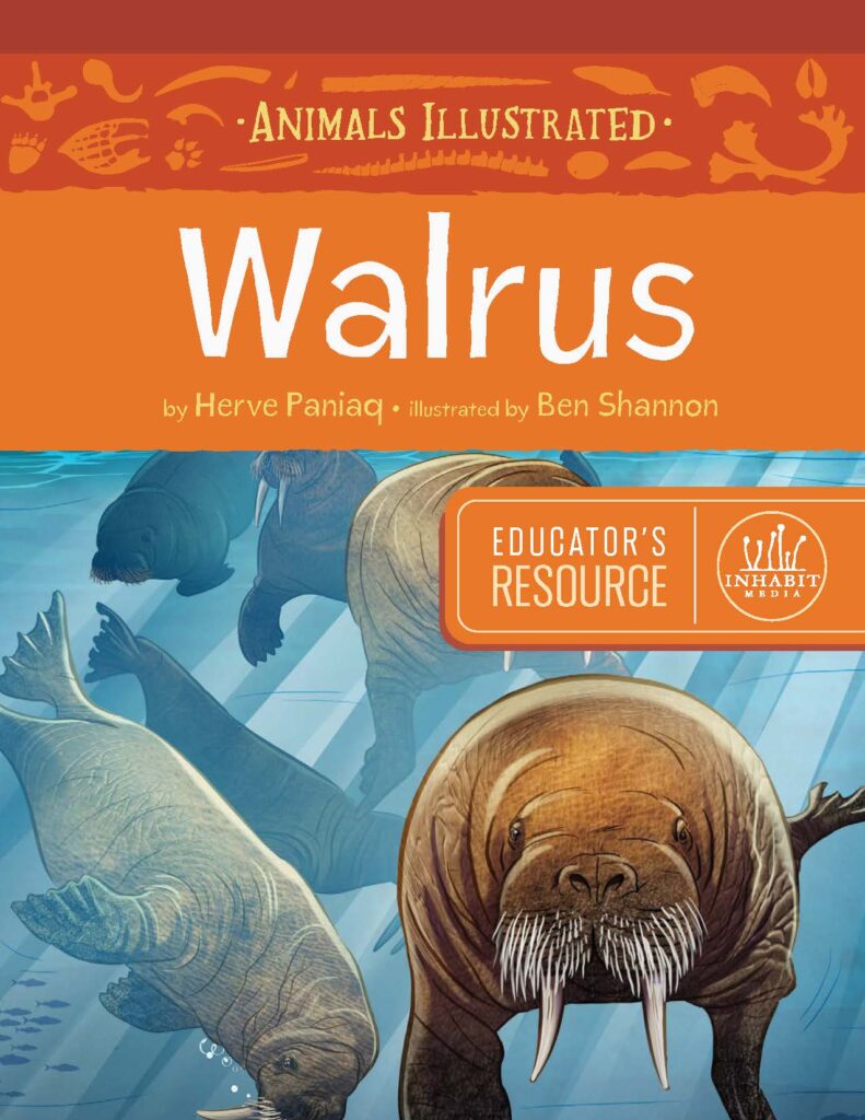 Animals Illustrated: Walrus Educator’s Resource
